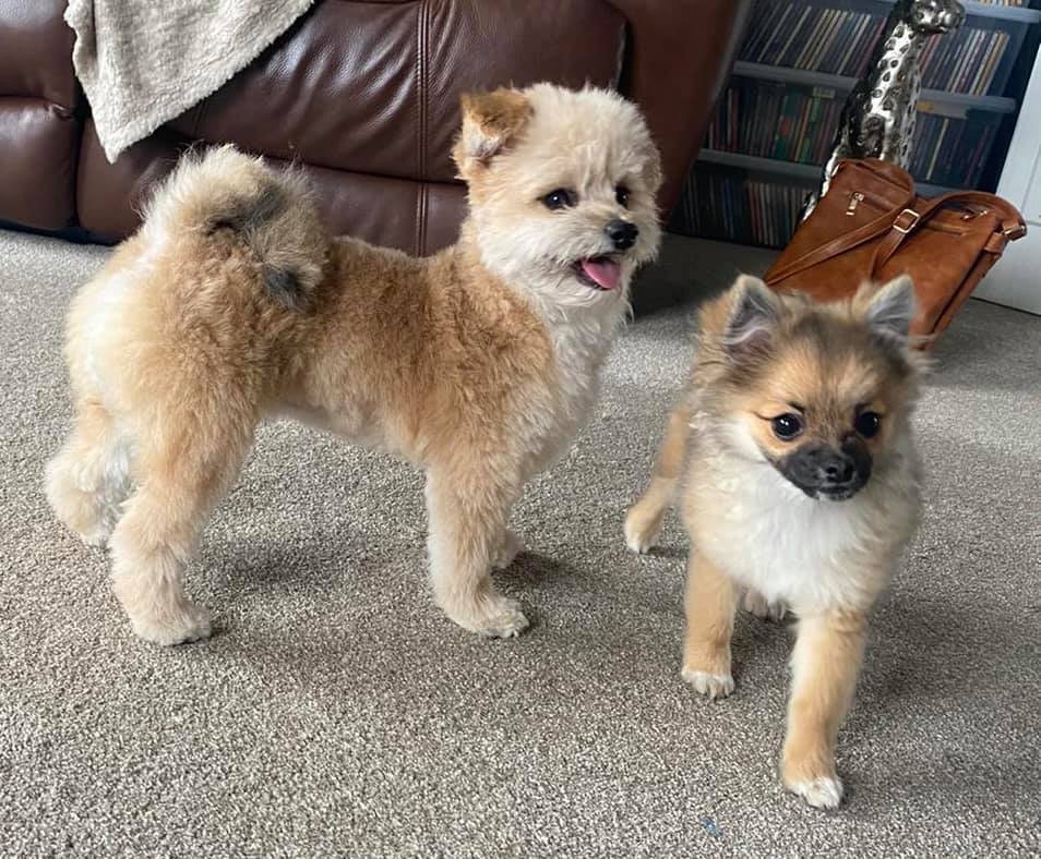 170657053_1600163433510713_3452319614114038585_n